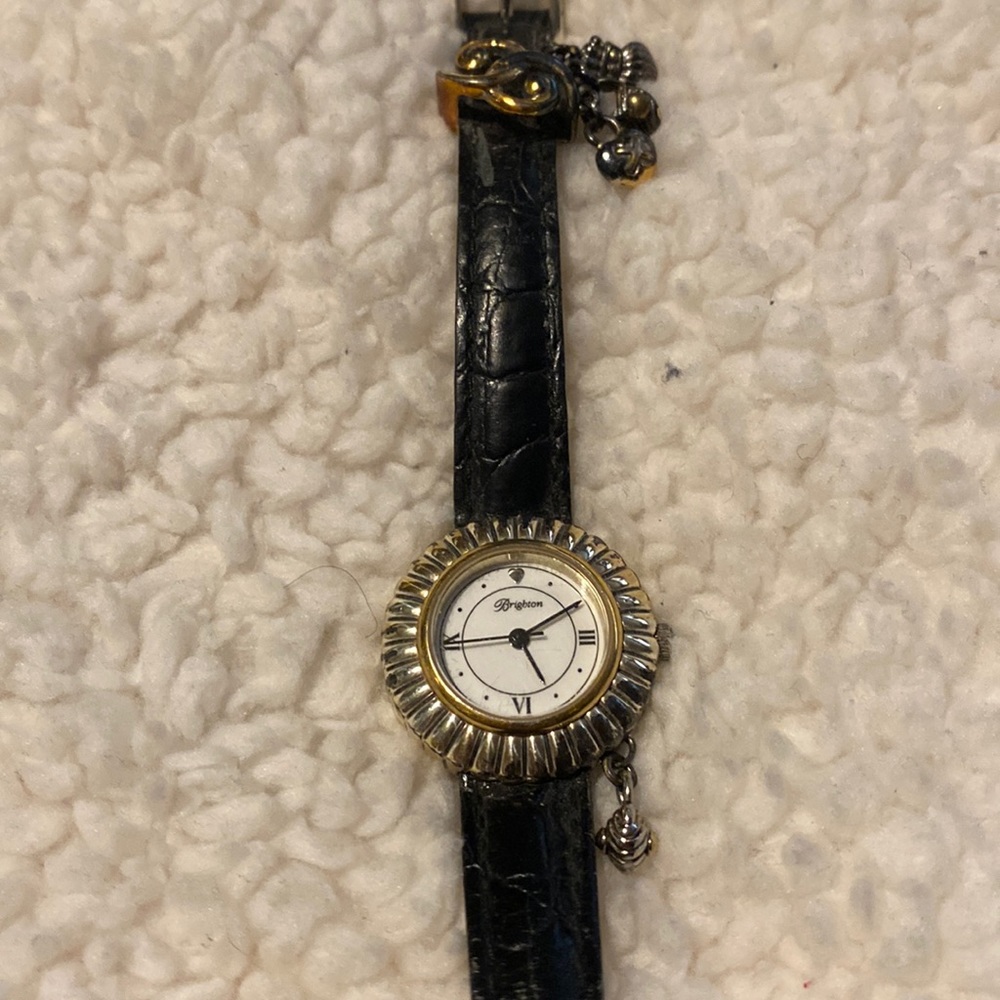Brighton watch